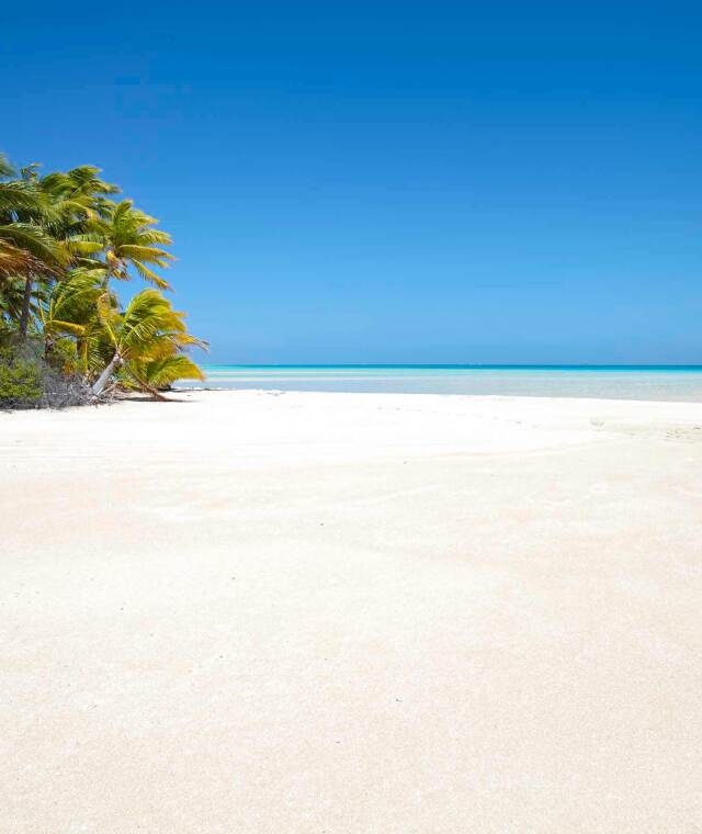 Viatges Illa Reunió